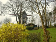 Copie_de_DSC08291.JPG